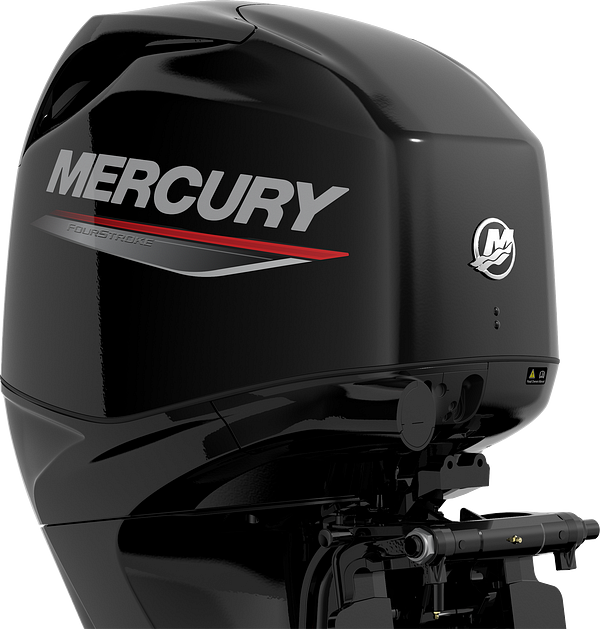 Mercury 60HP Portable Outboard Motor Online | Get a Quote