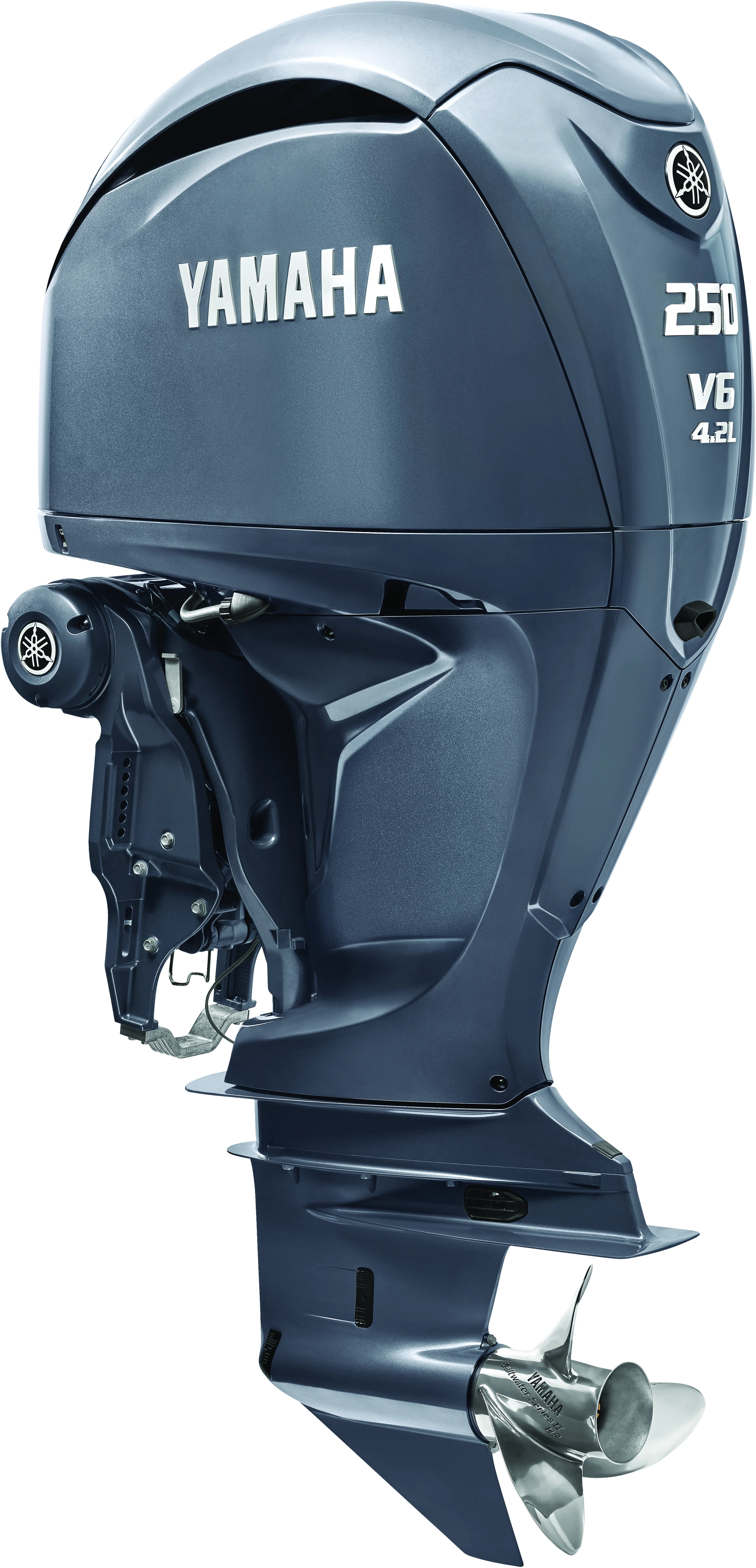 Order Gray Yamaha F250 Outboard Motor