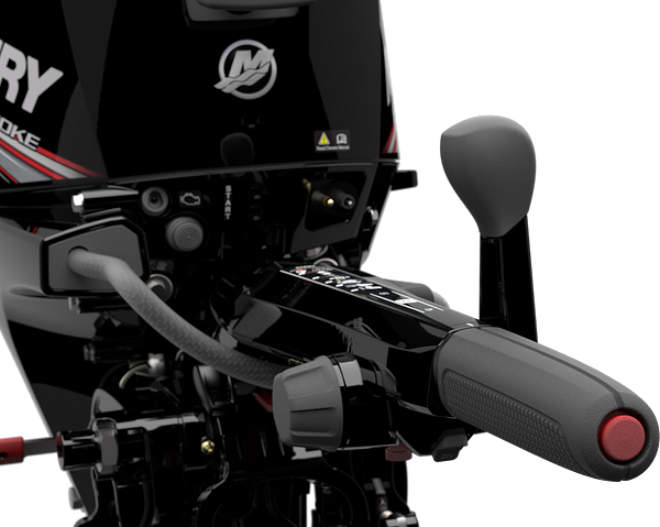 20HP