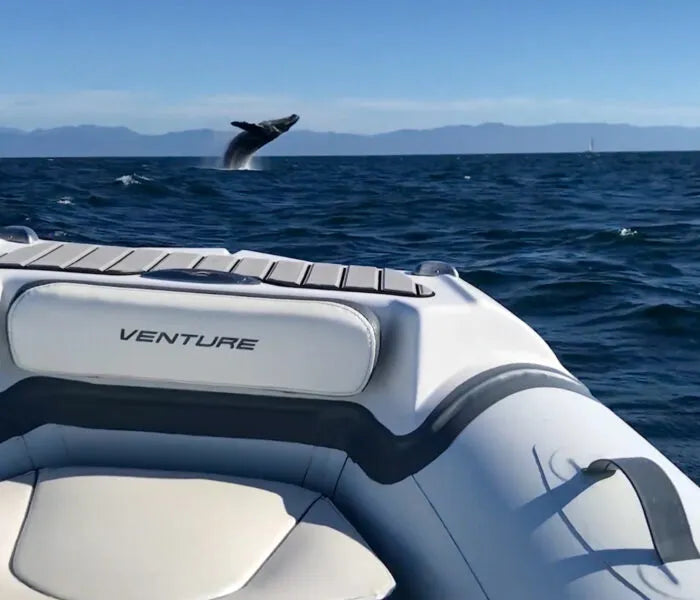 VENTURE 14