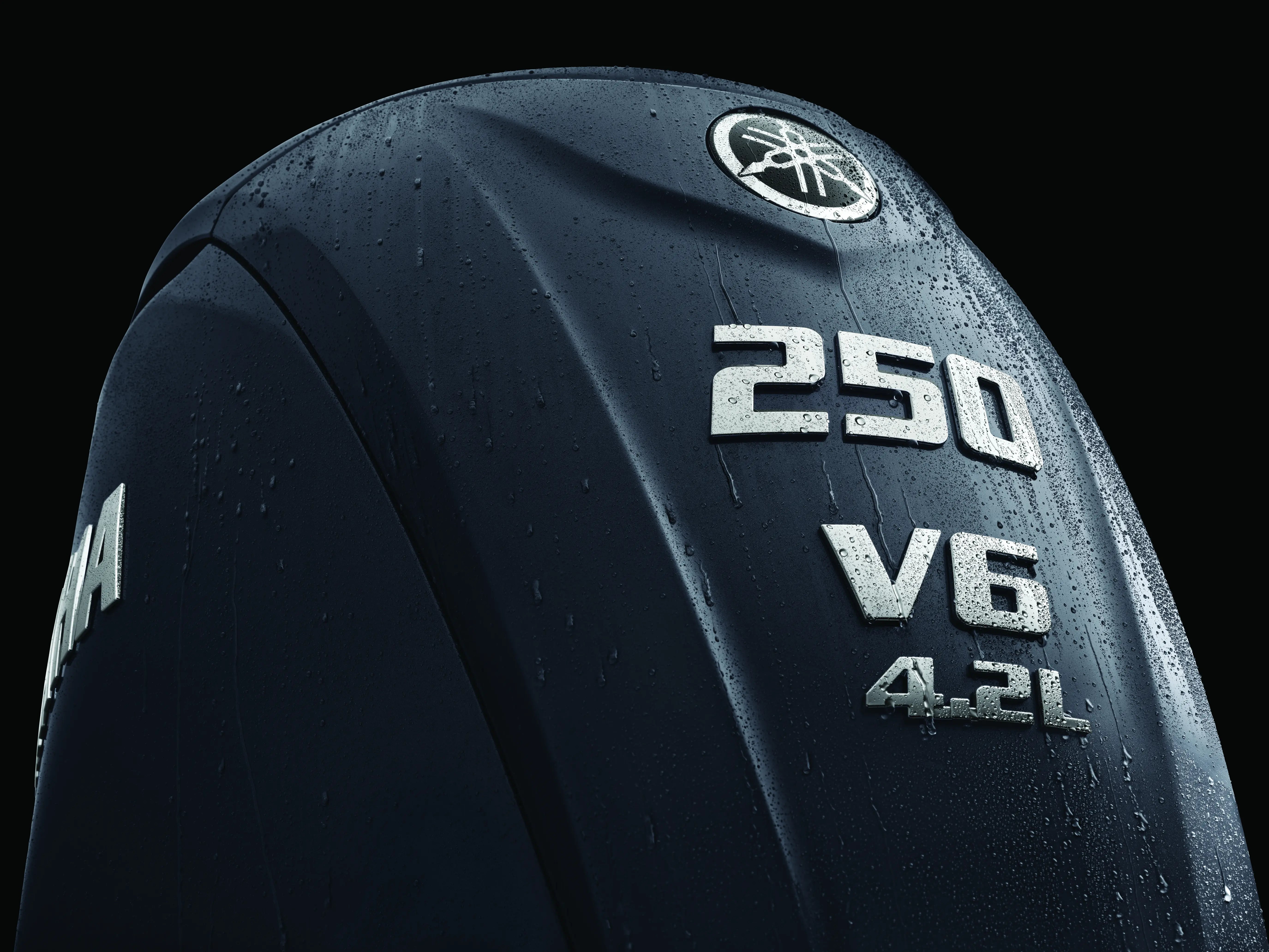 Gray Yamaha F250 Portable Outboard Motor Part Low Wet